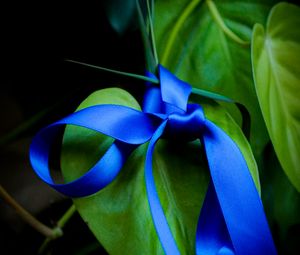 Preview wallpaper leaves, plant, bow, macro, blue, green, dark