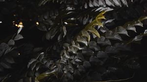 Preview wallpaper leaves, plant, branches, bush, dark