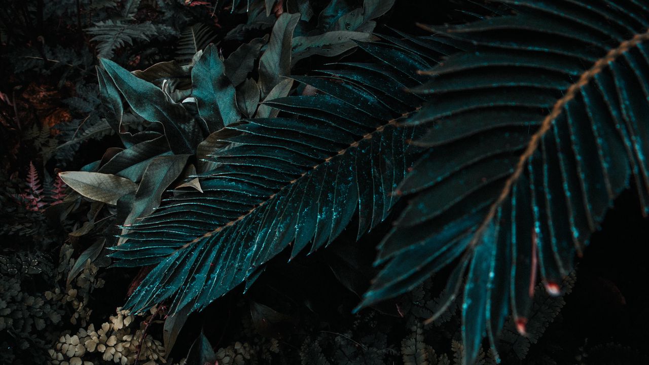 Wallpaper leaves, plant, branches, bush, carved