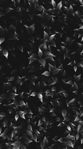 Preview wallpaper leaves, plant, bw, bushes