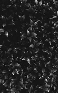 Preview wallpaper leaves, plant, bw, bushes