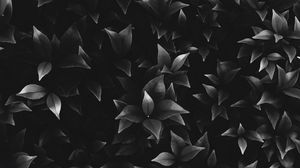 Preview wallpaper leaves, plant, bw, bushes