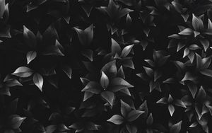 Preview wallpaper leaves, plant, bw, bushes