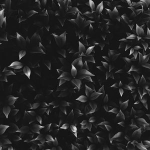 Preview wallpaper leaves, plant, bw, bushes