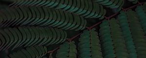 Preview wallpaper leaves, plant, macro, green