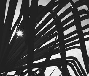 Preview wallpaper leaves, plant, silhouettes, sun, bw