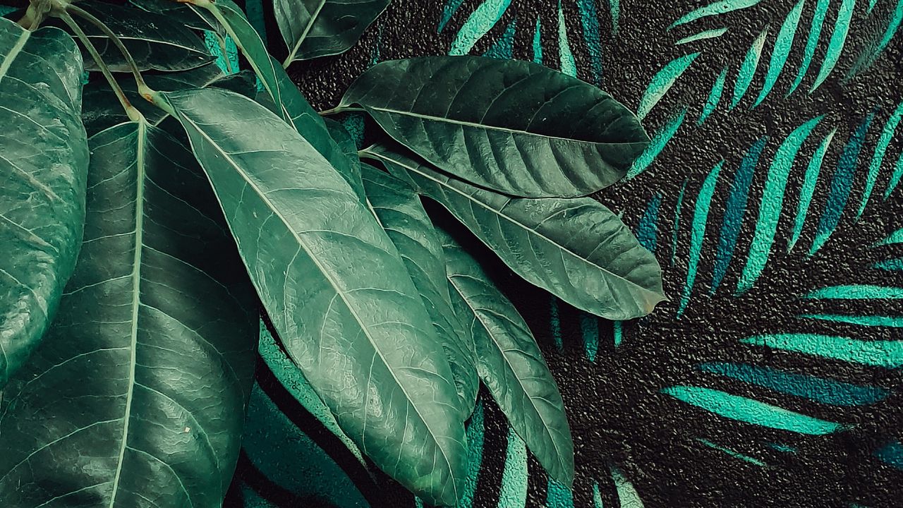 Wallpaper leaves, plant, wall, art, green