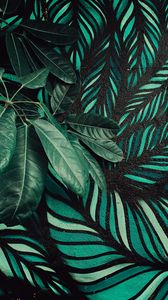 Preview wallpaper leaves, plant, wall, art, green