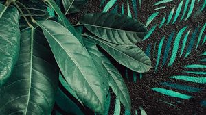 Preview wallpaper leaves, plant, wall, art, green
