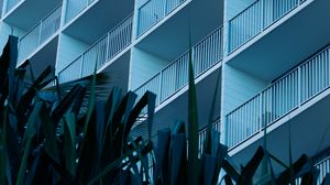 Preview wallpaper leaves, plants, building, balconies