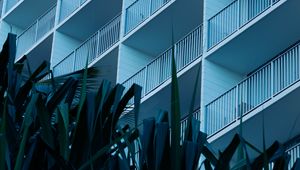 Preview wallpaper leaves, plants, building, balconies