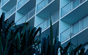 Preview wallpaper leaves, plants, building, balconies