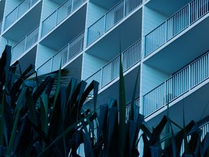 Preview wallpaper leaves, plants, building, balconies