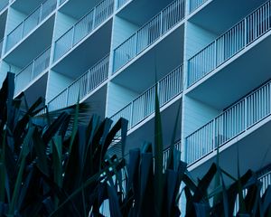 Preview wallpaper leaves, plants, building, balconies