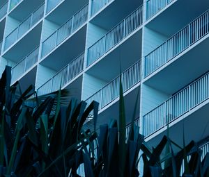 Preview wallpaper leaves, plants, building, balconies