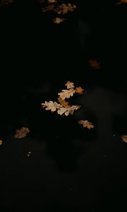 Preview wallpaper leaves, puddle, autumn