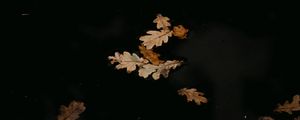 Preview wallpaper leaves, puddle, autumn