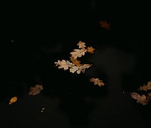 Preview wallpaper leaves, puddle, autumn