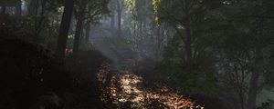 Preview wallpaper leaves, road, footpath, forest, shade