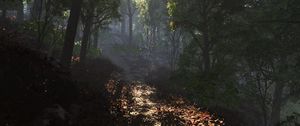 Preview wallpaper leaves, road, footpath, forest, shade