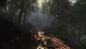 Preview wallpaper leaves, road, footpath, forest, shade