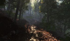 Preview wallpaper leaves, road, footpath, forest, shade