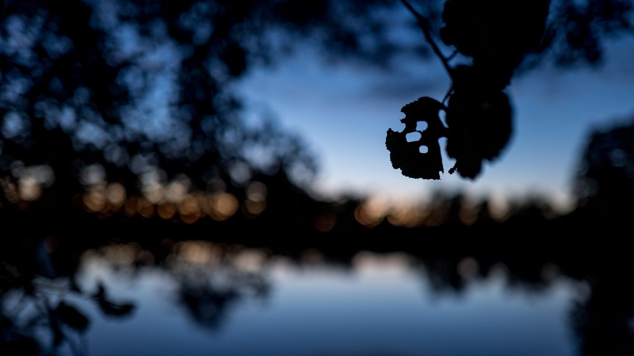 Wallpaper leaves, silhouettes, pond, trees, reflection, blur