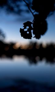 Preview wallpaper leaves, silhouettes, pond, trees, reflection, blur