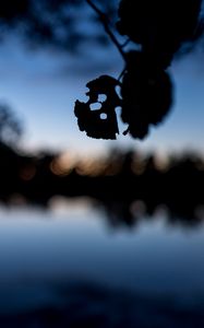 Preview wallpaper leaves, silhouettes, pond, trees, reflection, blur