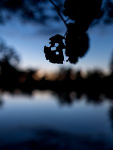 Preview wallpaper leaves, silhouettes, pond, trees, reflection, blur