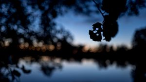 Preview wallpaper leaves, silhouettes, pond, trees, reflection, blur