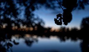 Preview wallpaper leaves, silhouettes, pond, trees, reflection, blur