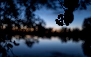 Preview wallpaper leaves, silhouettes, pond, trees, reflection, blur