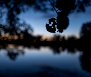 Preview wallpaper leaves, silhouettes, pond, trees, reflection, blur