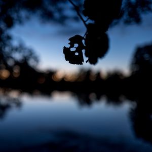 Preview wallpaper leaves, silhouettes, pond, trees, reflection, blur