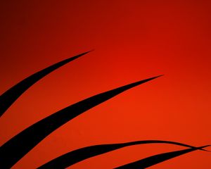 Preview wallpaper leaves, silhouettes, red, dark