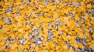 Preview wallpaper leaves, stones, autumn, yellow, gray