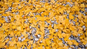 Preview wallpaper leaves, stones, autumn, yellow, gray
