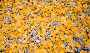 Preview wallpaper leaves, stones, autumn, yellow, gray