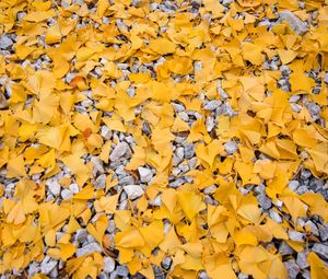 Preview wallpaper leaves, stones, autumn, yellow, gray