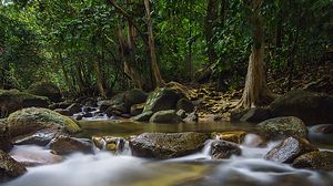 Preview wallpaper leaves, stones, river, trees, nature