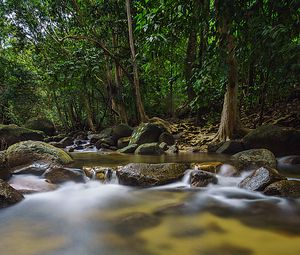 Preview wallpaper leaves, stones, river, trees, nature