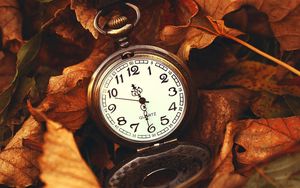 Preview wallpaper leaves, time, macro, nature, hours