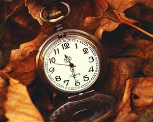 Preview wallpaper leaves, time, macro, nature, hours