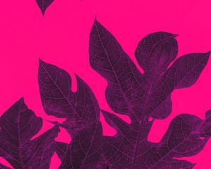 Preview wallpaper leaves, veins, macro, tropical, purple