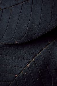 Preview wallpaper leaves, veins, texture, surface, macro