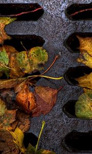 Preview wallpaper leaves, yellow, autumn, dampness, lattice, iron, dirt