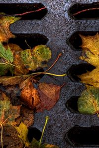 Preview wallpaper leaves, yellow, autumn, dampness, lattice, iron, dirt