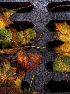 Preview wallpaper leaves, yellow, autumn, dampness, lattice, iron, dirt