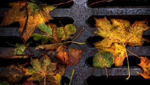 Preview wallpaper leaves, yellow, autumn, dampness, lattice, iron, dirt